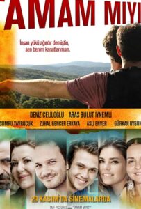 Неужели мы поняли друг друга? 2013 Смотреть Онлайн Турецкий Фильм